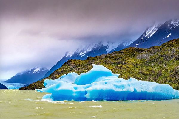 Perry, William 아티스트의 Blue Iceberg Grey Lake-Torres del Paine National Park-Patagonia-Chile-Iceberg is from Grey Glacier작품입니다.